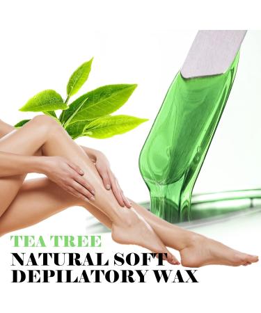 Sharonelle Soft Wax All Purpose Hair Removal Natural Depilatory Canned Wax for Sensitive Skin Canada-Made Melting Wax in Black color Canned Package (12PC Tea Tree) 500 ml (Pack of 12) Tea Tree - Buy Online on GoSupps.com