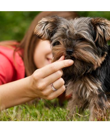 EnerMagiX Magnetic Copper Rings - Ultra Strong Magnets 99.99% Pure Copper Adjustable for Men & Women | International Shipping Available - Buy Online on GoSupps.com