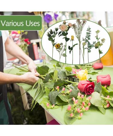 SOCNITC 100pcs Floral Wire Dark Green  22 Gauge Flower Wire Sticks Floral Supplies 14 inches for Bouquet Stem Wrap Floral Arranging Craft Projects Corsages  Wedding Bouquet  22 Gauge 100 pcs Dark Green - Buy Online on GoSupps.com