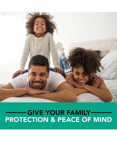 Steripod Clip-On Toothbrush Protector 2 Pack - Peppermint Essential Oils, Fits Most Manual & Electric Toothbrushes, Keeps Toothbrush Fresh & Clean (Teal/Grey) - Buy Online on GoSupps.com