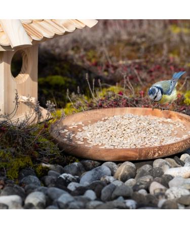 Lyra PET 10 kg Sunflower Seeds | Premium Wild Bird Feed | Year-Round Nutrition | Ideal for Young Birds | Shell-Free Energy Source | Summer & Winter Feed - Buy Online on GoSupps.com