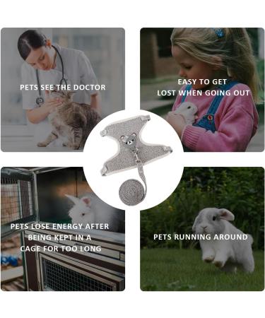 Shop Premium Rabbit Accessories: Harnesses Collars Leashes & Dishes for Small Animals - Adjustable & Breathable (Gray) - Buy Online on GoSupps.com