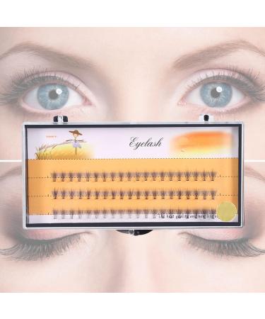 Haofy 3D Volume Artificial Cluster False Eyelashes - 60 Pieces Per Tray Lengths 6mm to 14mm Premium Extensions for Women - Buy Online on GoSupps.com