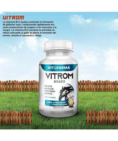 VITROM B15&B12 100 Tabletas - Suplemento de Vitamina B15&B12 para Gallos - Buy Online on GoSupps.com