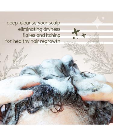 Natural Riches Tea Tree Shampoo - Fights Dandruff with Pure Tea Tree Oil - Lavender Peppermint Formula - 16 fl oz - Buy Online on GoSupps.com