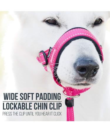 GoodBoy Halter for Dogs - Pink Nylon with Black Padding - 2 Piece Set | International Shipping Available - Buy Online on GoSupps.com