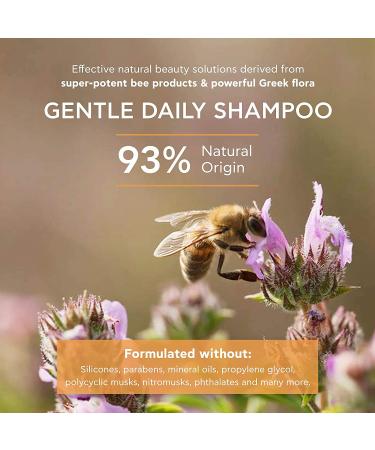 APIVITA Gentle Daily Shampoo - Sulfate Free Hair Care for Men & Women | Hydrates Protects Scalp & Prevents Split Ends | Rosemary Honey & Chamomile | All Hair Types - 8.45 Fl Oz - Buy Online on GoSupps.com
