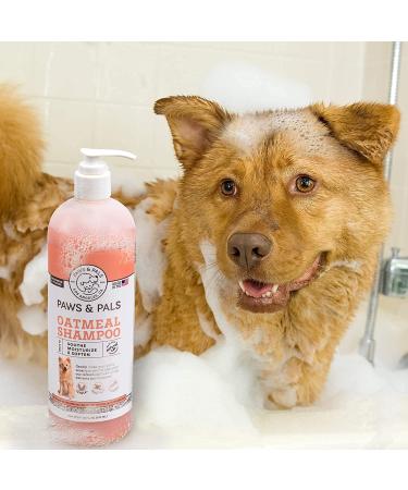 6-in-1 Medicated Dog Shampoo & Conditioner for Itchy Skin - Vet Formula for De-Shedding, Itch Relief, Smelly Odor - Made in USA - 20oz Oatmeal - Dogs & Cats Pet Wash - Buy Online on GoSupps.com