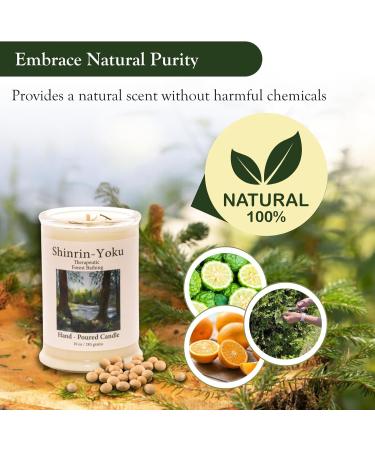 ADK Shinrin Yoku Scented Candle | 10 Oz Natural Aromatherapy for Home & Kitchen D cor | Relaxing Plant-Based Wax Gift - Buy Online on GoSupps.com