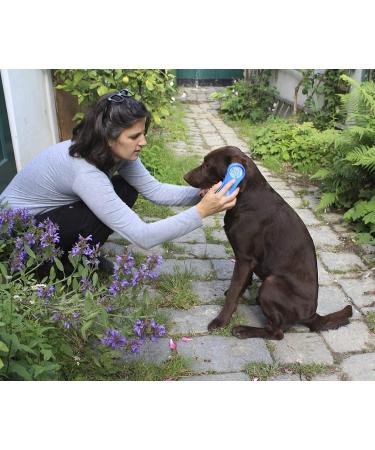 Kerbl 81901 Magic Brush Dog - Blue Sky - Perfect Pet Grooming Tool for International Shipping - Buy Online on GoSupps.com