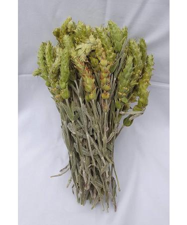 CHEFS&CO Mountain Tea (Sideritis scardica) | Loose Tea | Whole with Stems Leaves & Flowers | Handpicked | Strong Aroma | Antioxidant | Rich in Flavonoids & Essential Oils (NATURAL 80g (Pack of 1)) NATURAL 80g (Pack of 1) - Buy Online on GoSupps.com