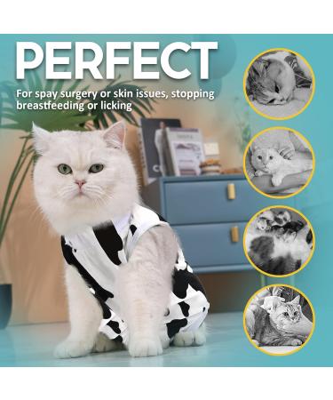 Avont Katzenbody: Post-Op Recovery Suit for Cats - Leakage Protection for Abdominal Wounds & Skin Diseases | International Shipping Available - Buy Online on GoSupps.com
