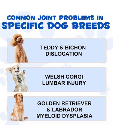 OBNOSWLPJMN Pain Relief For Dogs Dog Arthritis Pain Relief Dog Joint Aid & Relief Relieves Joint Pain In Dogs Hip & Joint Care For Dogs 60ml - Buy Online on GoSupps.com