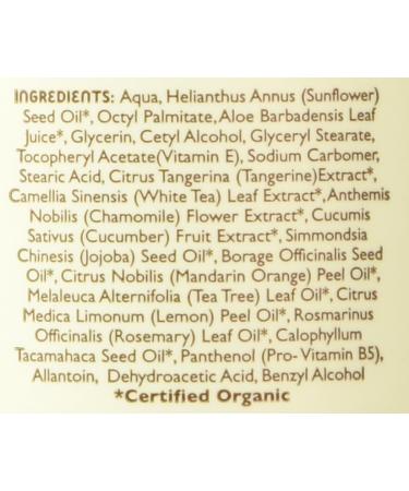 Little Twig Baby Lotion | Natural Plant-Derived Tangerine Formula | 8.5 fl oz - Gentle & Nourishing for Infants - Buy Online on GoSupps.com