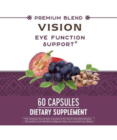 Nature's Way Vision - 60 Capsules for Optimal Eye Health & Support - Buy Online on GoSupps.com
