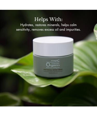 emerginC Phytocell Detox Mask - Hydrating Facial Mask with French Green Clay & Seaweed - Purifies Skin & Reduces Oils - 1.6 oz (50 ml) - Buy Internationally - Buy Online on GoSupps.com