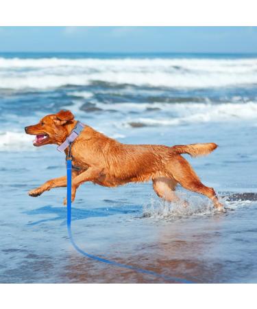 Wolfone 6m Blue Waterproof Dog Tow Lines | Durable Training Leash for Recall Swimming Camping & Outdoor Activities - Buy Online on GoSupps.com