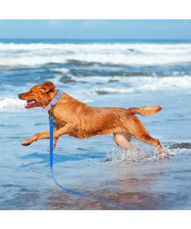 Wolfone 3m Blue Dog Tow Lines - Waterproof Durable Leash for Training Swimming & Outdoor Adventures - Buy Online on GoSupps.com