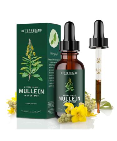 Mullein Leaf Extract for Lungs Mullein Drops Medlife Mullein Extract with Premium Mullein Leaf Extract Alcohol-Free Health Supplement Drops for Fast Absorption