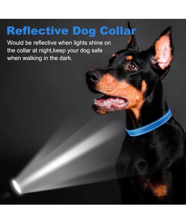 PCOTLLAR Reflective Dog Collar - Padded Neoprene Adjustable Collars for Small & Large Dogs - Soft Blue (50-60cm) - Buy Online on GoSupps.com