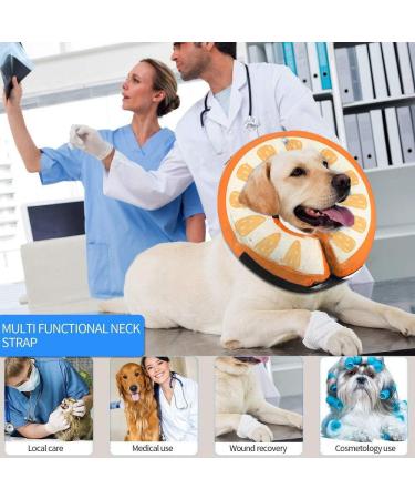 Ducomi Inflatable Hinges for Dogs & Cats | Post-Op Relaxation & Movement Freedom | XS Apple - Prevent Scratches & Bites - Buy Online on GoSupps.com