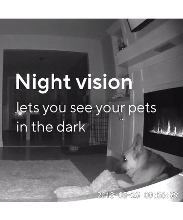 Wyze Cam Pan 1080p Pet Monitoring Camera with 32GB MicroSD Card - Indoor Pan/Tilt/Zoom for Dogs, Cats, Babies - Buy Online on GoSupps.com