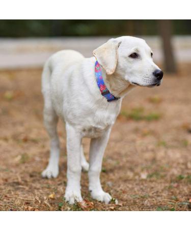 Heele Dog Collar - Adjustable Patterned Collar for Small Medium & Large Dogs | Comfortable & Robust | Blue Flowers Design (L: 40.5-65cm W: 2.5cm) - Buy Online on GoSupps.com