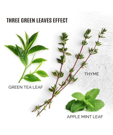Calming Face Mask Pack - 10 Pcs for Irritated Skin Anti-Aging & Natural Radiance | Revitalizing Skin Repair Masks - Buy Online on GoSupps.com