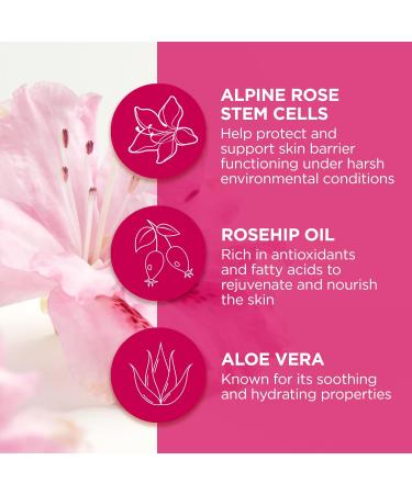 Andalou Naturals 1000 Roses Instant Soothe & Smooth Sheet Mask - Pack of 6 0.6 oz | Hydrating Face Masks for All Skin Types | International Shipping Available - Buy Online on GoSupps.com
