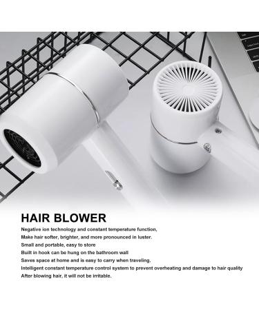 Portable Hair Dryer Negative Ion Constant Temperature Cold Hot Blower Home Travel US Plug 110V - Buy Online on GoSupps.com