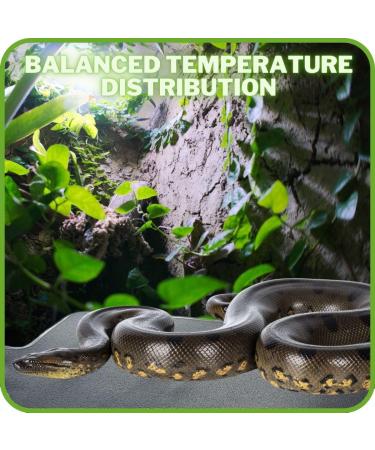 Finest-Filters Reptile Heating Mat Under Tank Terrarium Reptile Heat Pad with Temperature Control Adjustable Reptile Heat Mat for Lizard Turtle Tortoise Snake Gecko etc (30w (20" x 12")) - Buy Online on GoSupps.com