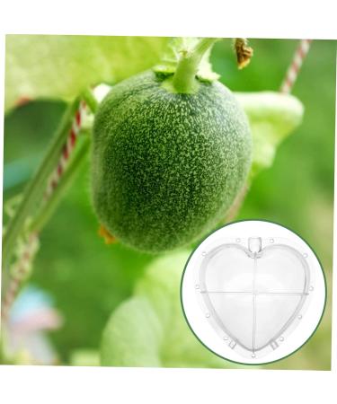 KICHOUSE Fruit Forming Mold Heart Shaped Watermelon Molds Vegetable Forming Machine Watermelon Growing Mold - Buy Online on GoSupps.com