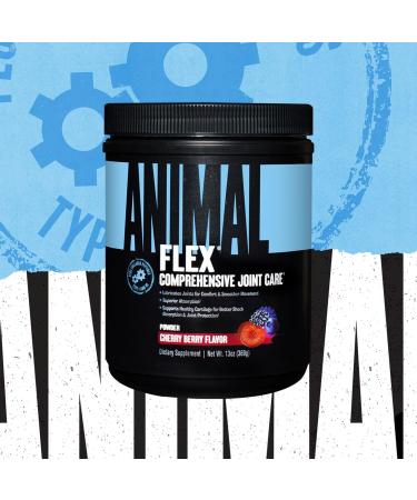 Animal Omega Omega 3 & 6 Supplement 30 Day Pack Flex Powder Complete Joint Support 30 Scoops - Buy Online on GoSupps.com