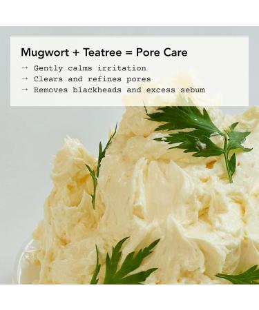 WHIPPED Cream Facial Cleanser Mugtree - Mugwort & Teatree Face Wash - For Oily Skin Sebum & Pore Care - Moisturizing Face Cleanser Niacinamide Hyaluronic Acid Vegan Korean Skincare 4.5 oz Mugtree (Mugwort + Teatree) - Buy Online on GoSupps.com