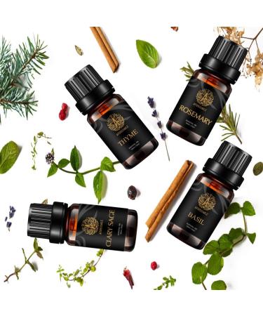 Aromatherapy Clary Sage Essential Oil Set for Diffuser 100% Pure Thyme Essential Oils Kit for Humidifier 4X10ml Therapeutic Grade Fresh Grassy Essential Oils Set-Clary Sage Thyme Rosemary Basil Oil - Buy Online on GoSupps.com