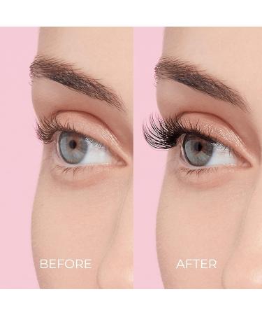 KISS imPRESS Press-On Falsies Eyelash Clusters Kit - Natural Black, Fuss-Free with Invisible Band - 24 Hours Flawless Wear, No Damage or Sticky Residue - Quick & Easy Application for Gorgeous Look - Buy Online on GoSupps.com