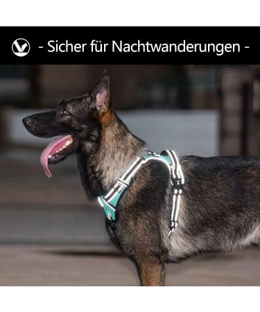 POPOT No Pull Dog Harness - Reflective Pet Vest with Control Handle for Daily Training & Walking - Mint Blue XL - Buy Online on GoSupps.com