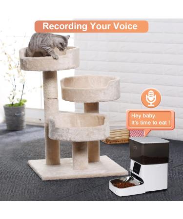DOEL Automatic Cat Feeder Timed and Quantitative Feeding with Stainless Steel Bowl APP Remote Control with Dual Power Dry Food Pet Feeder 4L - Buy Online on GoSupps.com