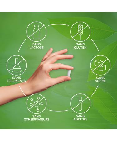 Bioph nix Chlorophyll Magnesian 60 capsules - 100% natural plant-based food supplement - Detox - Protection of digestive liver and kidney functions - Buy Online on GoSupps.com