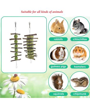 Bunny Chew Toy: Apple Wood Stick for Dental Health - 2 Pieces - Buy Online on GoSupps.com