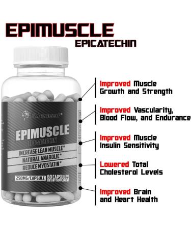 Enhanced Athlete Epimuscle - Natural Anabolic Supplement | Increase Lean Mass & Reduce Myostatin | 250mg Pure Epicatechin | 60 Capsules - Buy Online on GoSupps.com