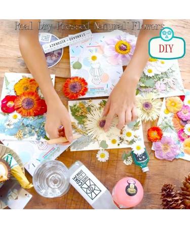 Real Pressed Dry Flowers for Resin Jewelry Molds - Colorful DIY Crafts with Tweezers - Buy Online on GoSupps.com