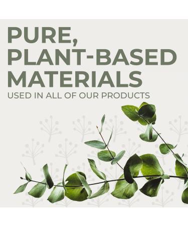 Buy Earthley Wellness Eco-Friendly Cleaning Paste | Certified Organic & Unscented | 4 oz International Shipping - Buy Online on GoSupps.com