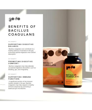 Bacillus Coagulans 500 Million CFU Live Probiotics - 120 Tablets - UK Made Vegan Digestive & Immune Support - Spore Based Gut Health - Plastic Free Refill Pouches 120 Count (Pack of 1) - Buy Online on GoSupps.com