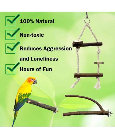 10-Piece Natural Bird Accessories for Budgies Canaries & Lovebirds - Gionar Climbing Grinding & Standing Cage Toys - Buy Online on GoSupps.com