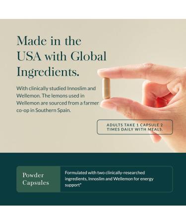 Gaia Herbs Metabolic Activator - Natural Energy Supplement for Metabolism Support - Made with Panax Notoginseng & Astragalus Extract - Free from Dairy Soy & Gluten - 60 Capsules (60 Servings) - Buy Online on GoSupps.com