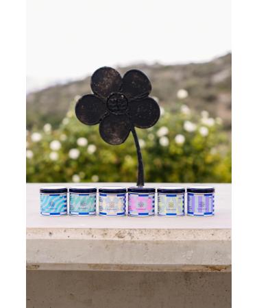 Symbeeosis Organic Genovese Basil - Premium Dried Herb for Cooking Aromatic Infusions Digestive Aid - Buy Online on GoSupps.com