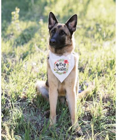 NTKIO Big Sister Pet Dog Bandana - Funny White Flower Pattern Plaid Cotton for Pregnancy Announcement and Gender Reveal - Dog Lovers Gift - Buy Online on GoSupps.com