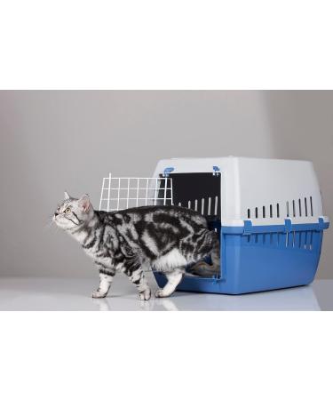 My Heart Take It Easy Globuli - Natural Calm for Cats | Stress Relief Travel & Noise Comfort with Bach Flowers - Buy Online on GoSupps.com