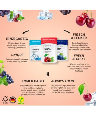 Wonder Toothpick - Fresh Breath Pack | Sugar-Free Flavored Toothpicks | Plastic-Free Chewing Gum for Smoking Cessation - Buy Online on GoSupps.com
